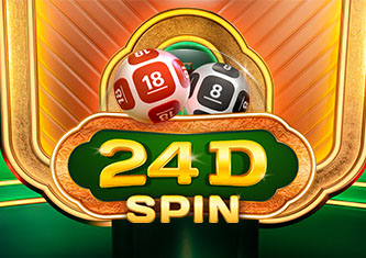 24D Spin