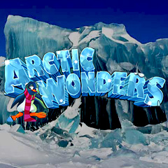 Arctic Wonders